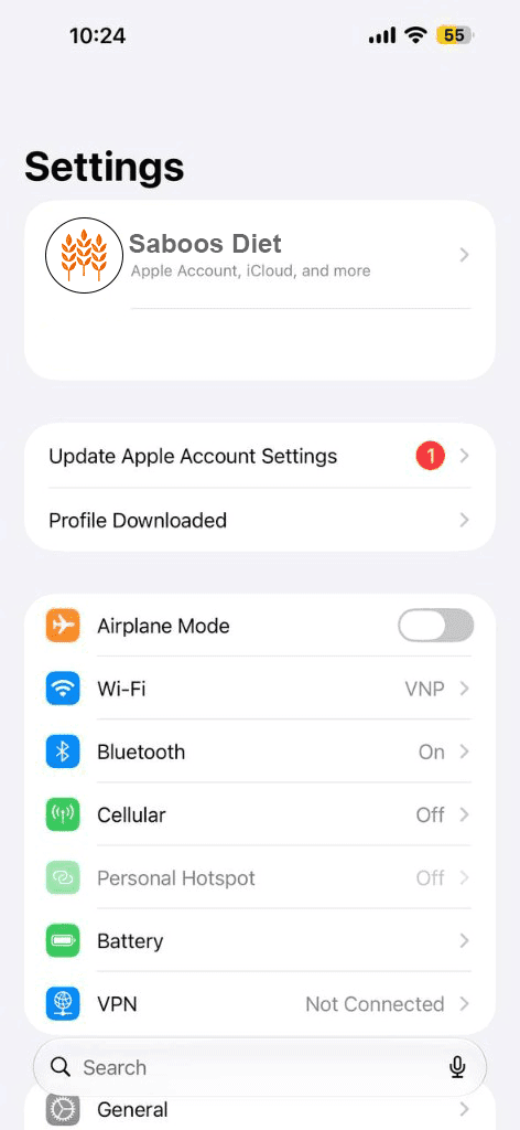 صفحه تنظیمات iOS با گزینه Profile Downloaded